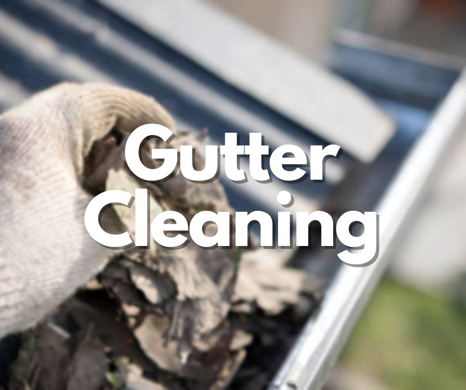 Gutter Cleaning