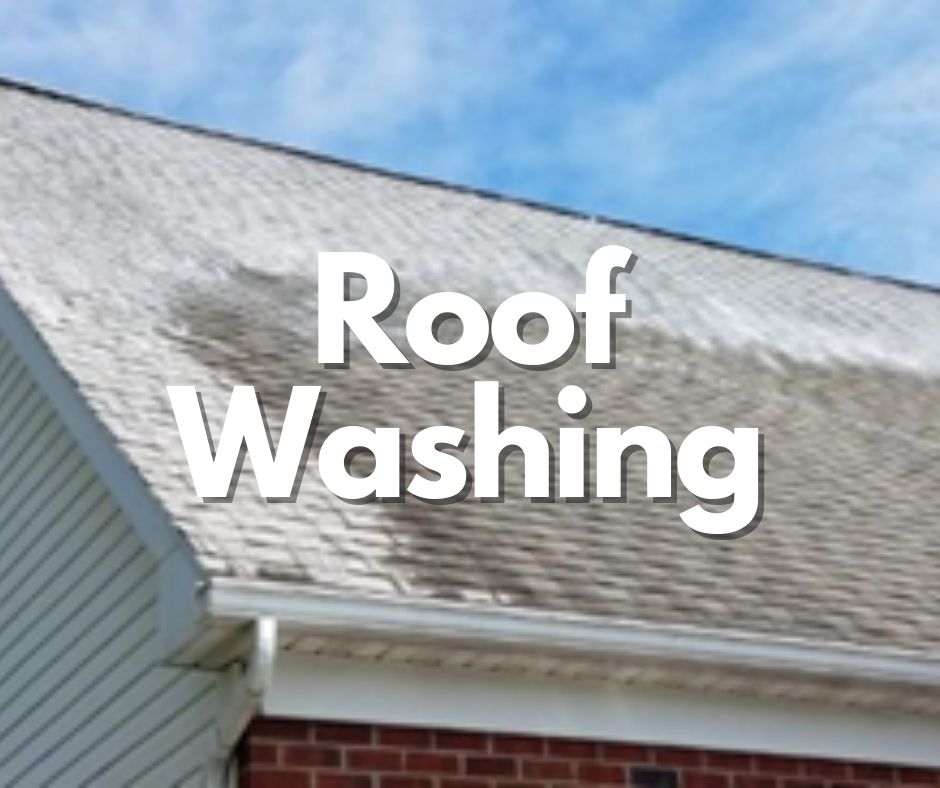 Roof Washing