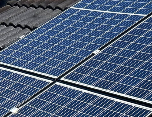 From Dust to Bird Droppings: Why Solar Panels Need Quarterly Cleaning